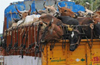Death of 19 cows in cattle trafficking vehicle mishap : Court fines 5 accused